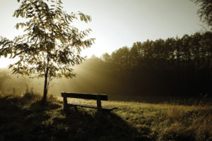 Foto: Steppenseestudio